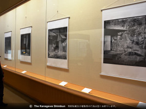 湿板光画で撮影された写真が並ぶブラウンさんの作品展＝横浜市中区の三渓園 / カナロコ