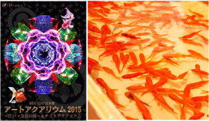 金魚にフォーカスした水中アート展や、日本橋金魚すくいグランプリ / 三井不動産