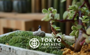 「TOKYO FANTASTIC OMOTESANDO」イメージ / マイナビニュース